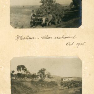Greece Klestina or Kleines and Florina two 1916 photos Ox Cart