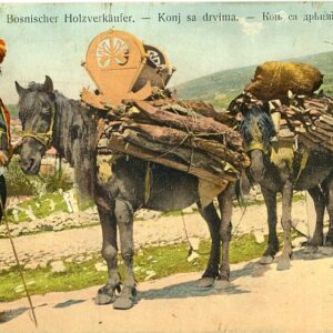 Bosnia Wood Seller with Mules