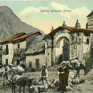 Peru Arrieros Indigenous Muleteers 1913 to England