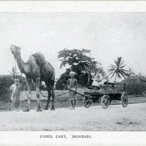 Kenya Mombasa Camel Cart