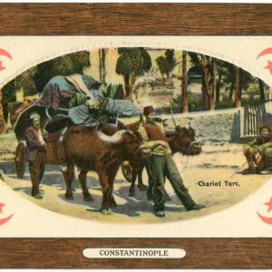 Turkey Istanbul Constantinople Ox Cart ed IMCA #7