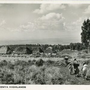 Kenya Highlands Pyrethrum 1955 to France