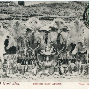Kenya Animal Skin Fur Shop 1919 Mombasa to Bern
