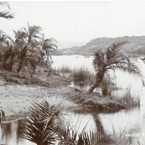 Natal Umgeni River photocard
