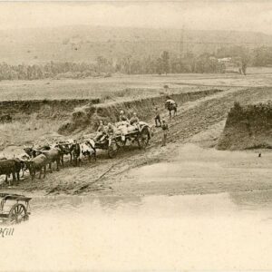 Natal Talana Hill soldiers on ox cart