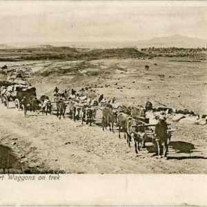 Natal Transport Waggons on Talana Hill