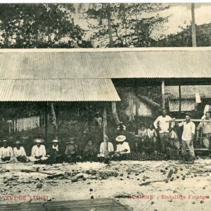 Polynesia Huahine Packing Oranges or Export