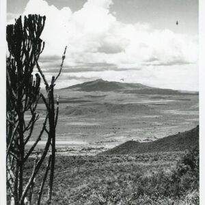 Kenya Rift Valley Mount Longonut