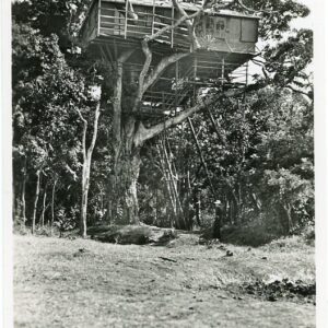 Kenya Nyeri Treetops Hotel