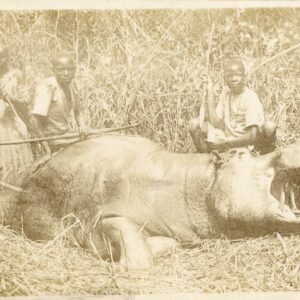 Kenya Hunted Hippo by Natives photocard