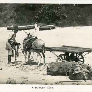 Kenya Donkey Cart photo Patel Mombasa