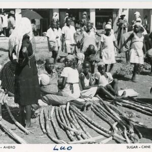 Kenya Ahero Kisumu Sugarcane Market