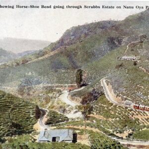 Ceylon Railway through Scrubbs Estate on Nanu Oya Pass