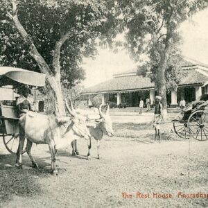 Ceylon Rest House Anuradhapura Ox Cart