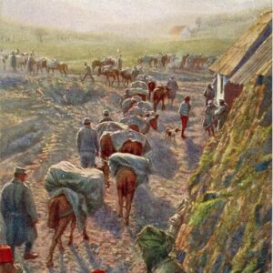 Albania WWI German Army art postcard