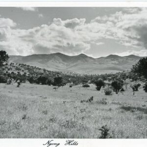 Kenya Ngong Hills