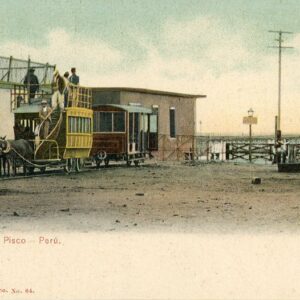 Peru Pisco Horse Trams