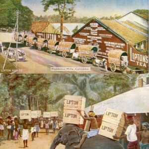 Ceylon Lipton Tea Series 4 cards by CW Faulkner