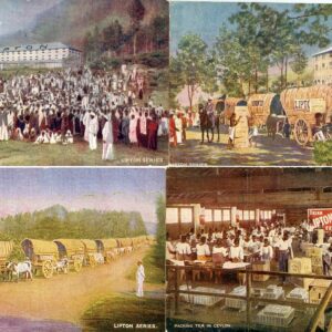 Ceylon Lipton Tea Series 9 cards by Photochrom