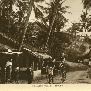 Ceylon Sinhalese Village 1907 to Vienna