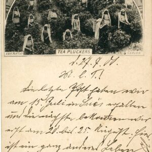 Ceylon Tea Pluckers 1900 to Dusseldorf