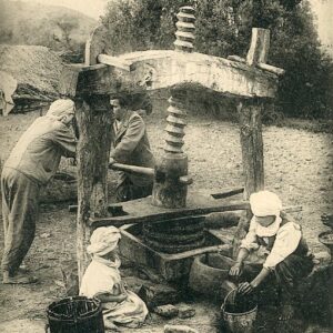 Algeria Kabylie Olive Oil Mill