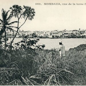 Kenya Mombasa view from Mainland